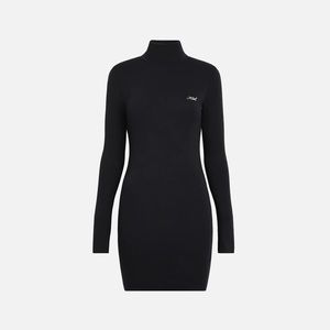 Brier Turtleneck Mini Dress
